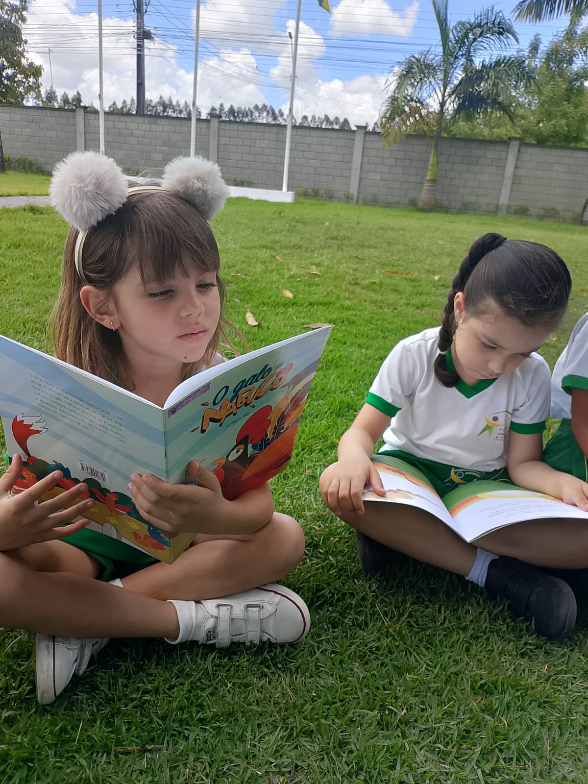 projeto educativo